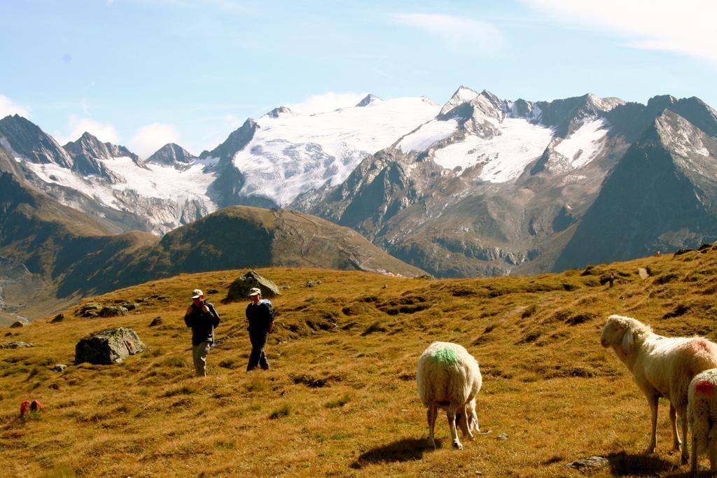 Hotel Laerchenhof Natur Seefeld in Tirol Ngoại thất bức ảnh