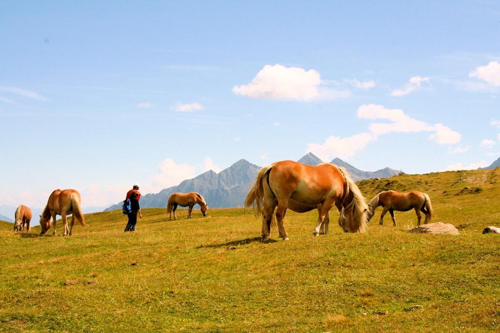 Hotel Laerchenhof Natur Seefeld in Tirol Ngoại thất bức ảnh